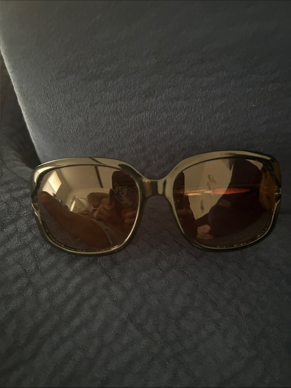 Coach Oversized Brown Sunglasses